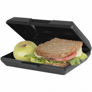 Lunchbox Oblong