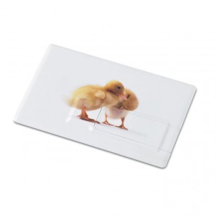 Creditcard. USB flash 16GB     MO1059-06 MEMORAMA