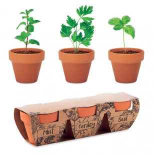 Zestaw 3 doniczek z terakoty FLOWERPOT