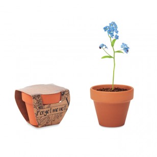Doniczka, niezapominajka FORGET ME NOT