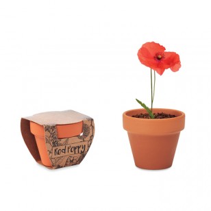 Doniczka, mak RED POPPY