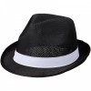 Trilbyset