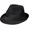 Trilbyset