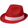 Trilbyset