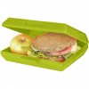 Lunchbox Oblong