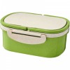 Lunchbox z włókna słomy pszenicy Crave