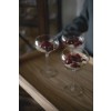 SAGA GLASS KIELISZEK DO SZAMPANA, 2-PAK  27CL
