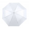 parasol