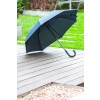 parasol