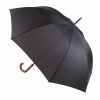 parasol