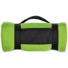 Koc polarowy