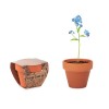 Doniczka, niezapominajka FORGET ME NOT